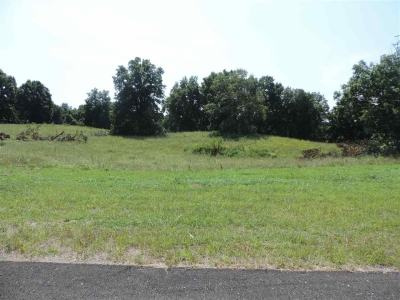 Lot 1 Crabtree Estates Bowling Green Ky 42103 South Central Homes